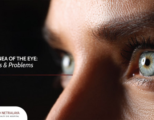 The Cornea of the Eye: Functions & Problems