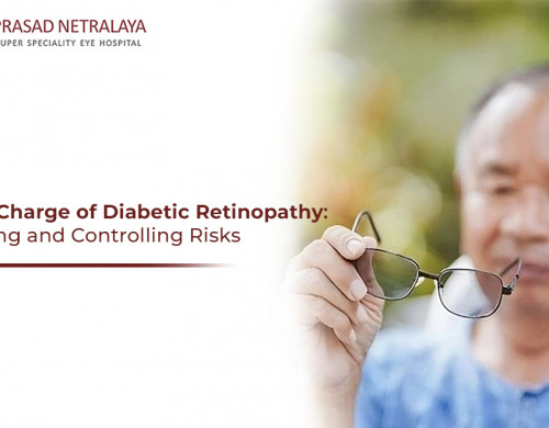 Taking Charge of Diabetic Retinopathy: Managing and Controlling Risks